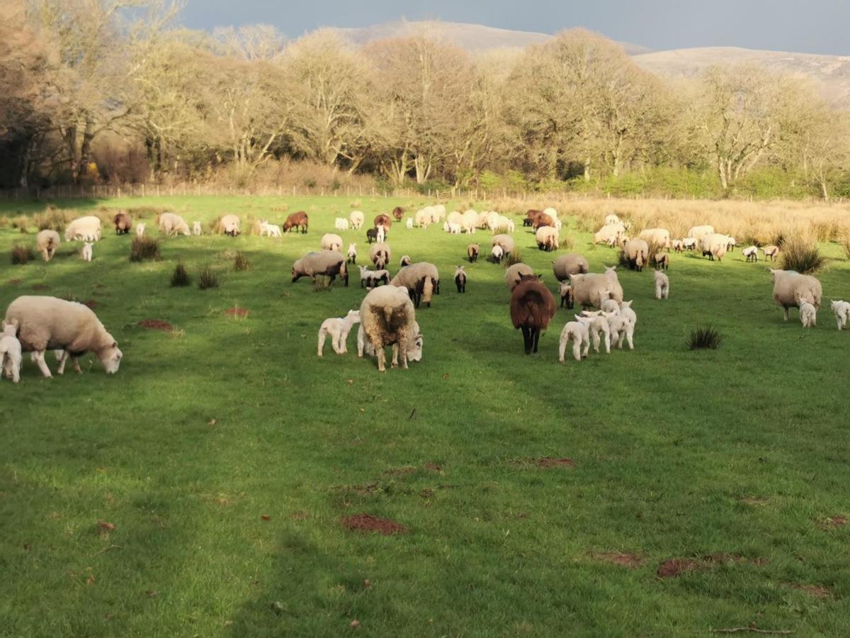 Gosforth  Rainors Farm B&B מראה חיצוני תמונה